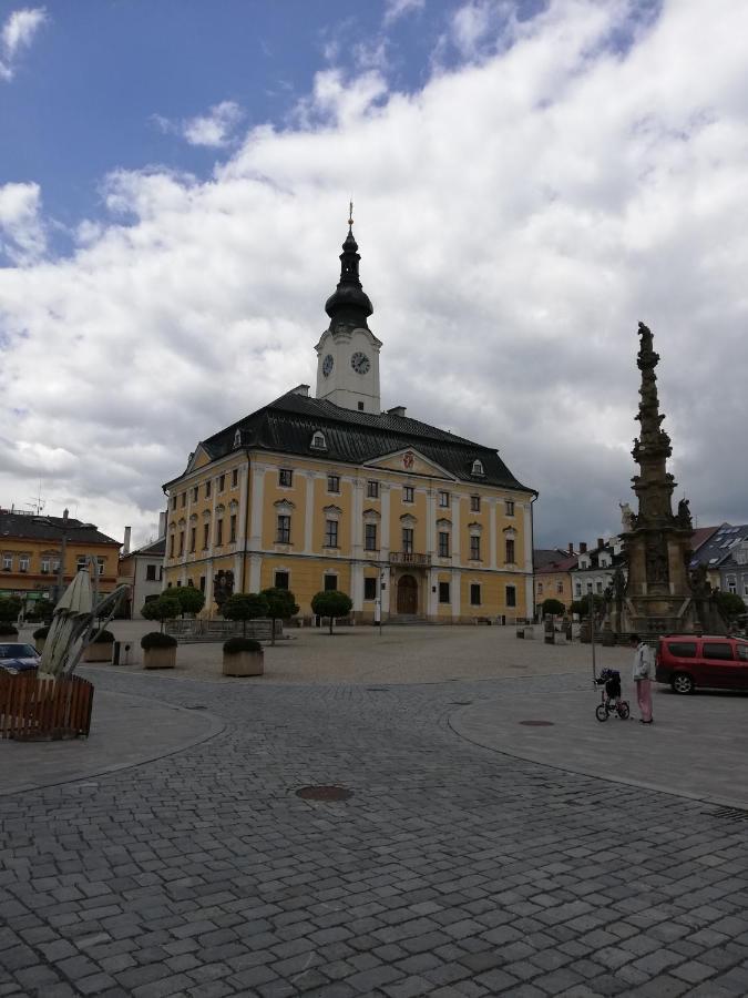 Apartman Policka Holiday home